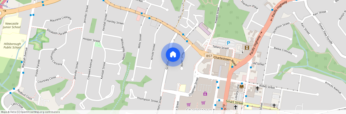 16 GRIFFITHS STREET, NSW 2290, Charlestown