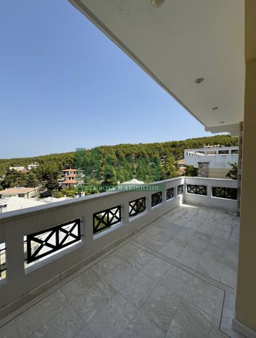 Μονοκατοικία 335 τ.μ. - Photo 4