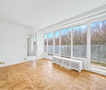 Roosevelt - bel appartement de 276 m² - Terrasse SUD - 4ch - Foto 6