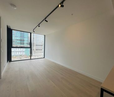Furnished One Bedroom Apartment in Domain House for Lease-Fridge Bu... - Photo 1