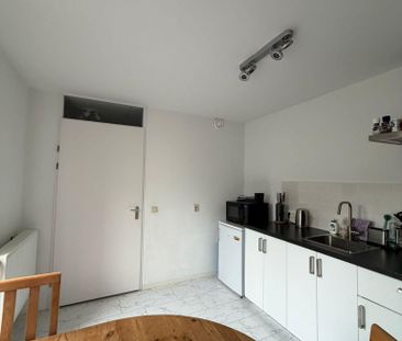 Veldbeemdgras - Photo 3