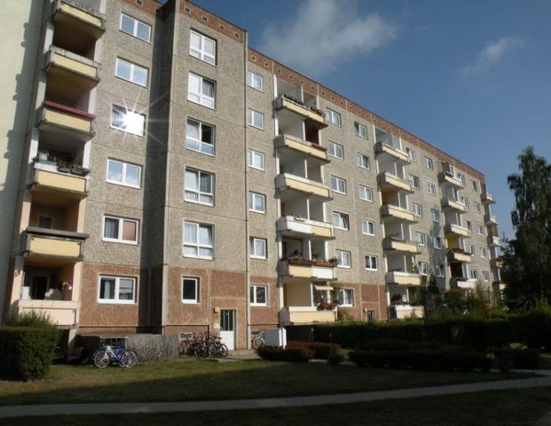 Geräumige 3 Raumwohnung - Foto 1
