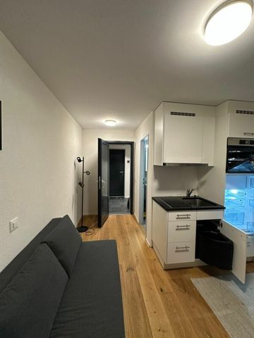 Newly built 1-room studio (13 m²) for rent from 01.03.2026 - Photo 3