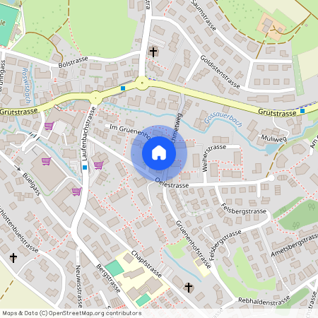 Im Grünenhof 25, 8625 Gossau ZH