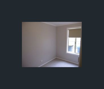 Neat and tidy Low maintenance 3 bedroom cottage close to oval - Photo 2