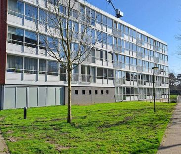 Appartement à Plataanstate, Purmerend - 2 Chambres - Photo 6