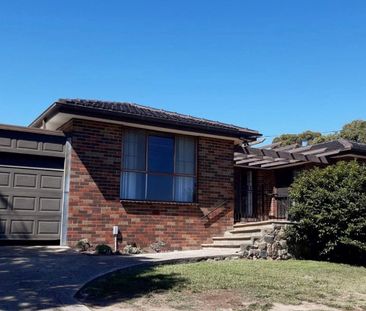 Leave The Car At Home! - Photo 2