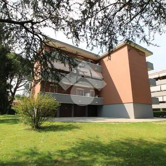 Trilocale in affitto - Photo 1