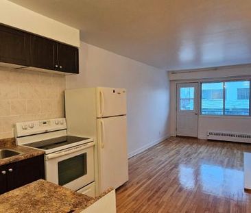 1 CH - 1 SDB - Montréal - $1,000 /mo - Photo 2