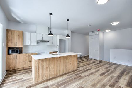 Appartement à louer, Montréal (Le Sud-Ouest) - Photo 4