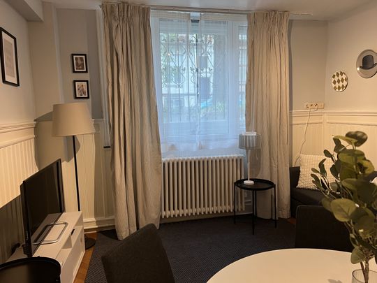 Möbliertes Studio in Brüssel Schuman, EU District - Foto 1