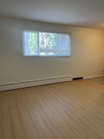 1 BDRM/1 BATH - 409 4TH AVE N - Available NOV 1 - Photo 4