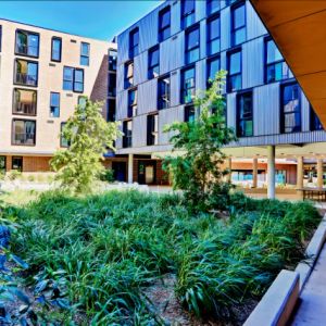 Scape Cleveland, Sydney - Photo 2