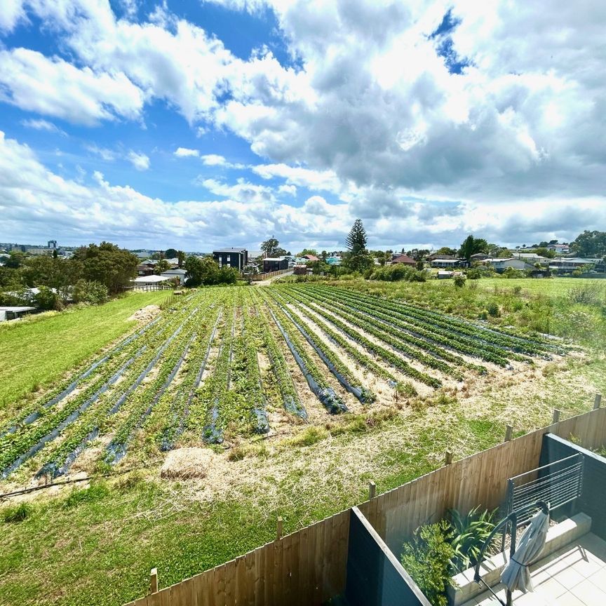 21 Ara Mara Hua, Henderson, Auckland - Photo 1