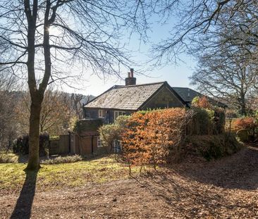 Hewshott Lane, Liphook, Hampshire, GU30 - Photo 5