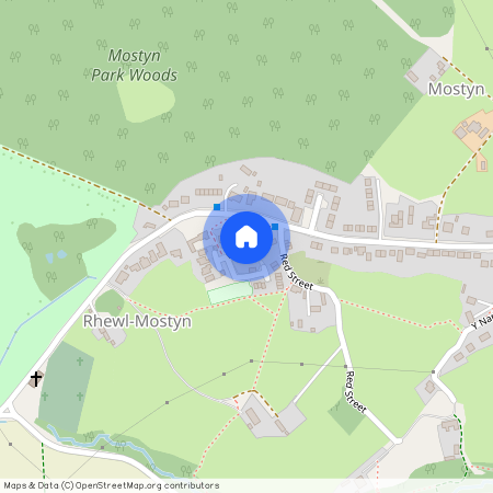 Maes Alarch, Rhewl, Holywell, CH8 9QA