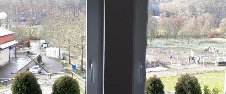 Reizende Singlewohnung an ruhige Person zu vermieten - Foto 1