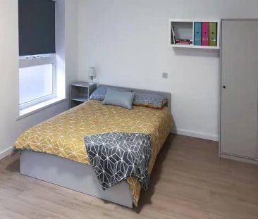 Studio Platinum Plus - Annex - Photo 6