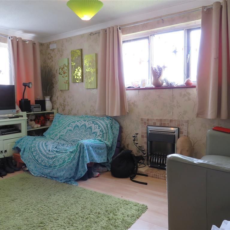 Lime Tree Avenue - Photo 1