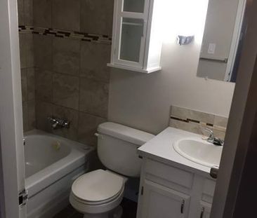 Small Pet Friendly Well Maintained 1 Bedroom Suite - Photo 6