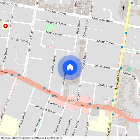 16 Sunbeam Avenue, NSW 2134, Burwood