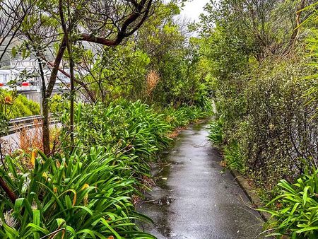 Tranquil City Living at 70 Hobson Street, Thorndon - Photo 5