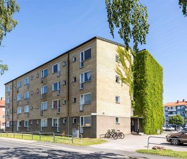 Norra Götgatan 12 - Photo 4