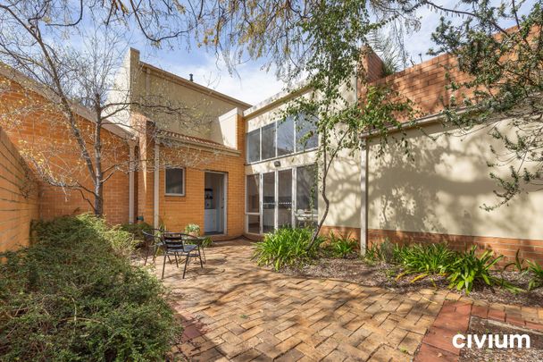 3/67 Macleay Street, Turner ACT 2612 - Townhouse For Rent | Domain - Photo 1