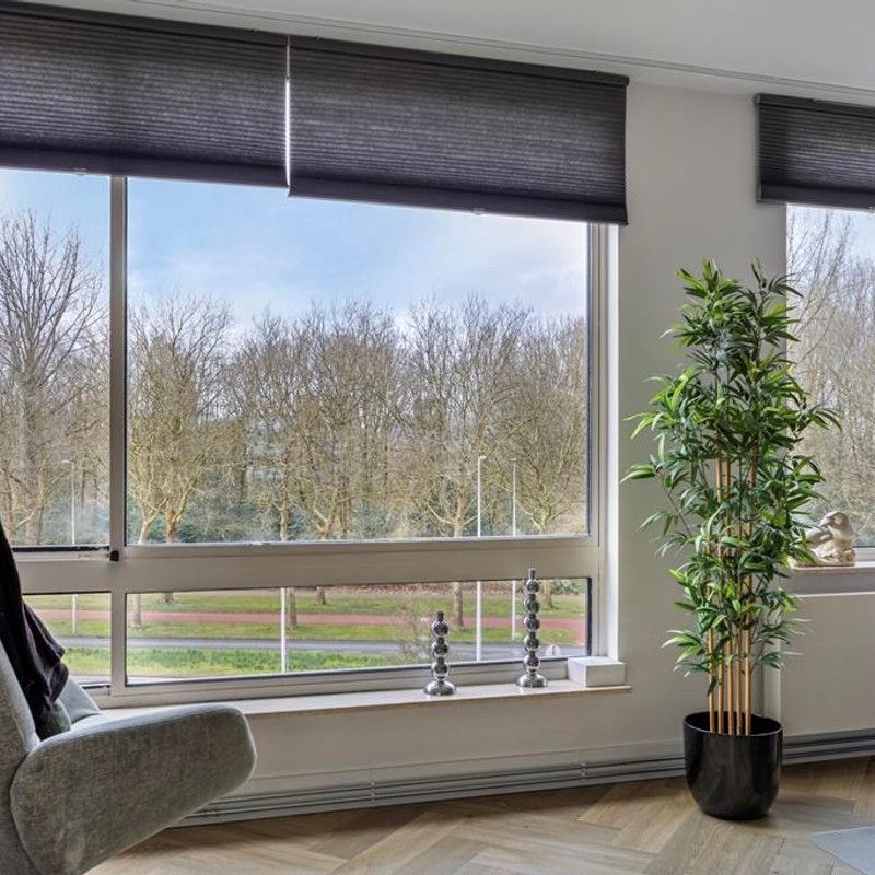 Beysterveld 1 - Photo 1