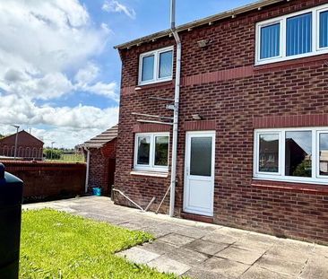 17 Clendinning Way, Craigavon, BT62 3WF - Photo 5
