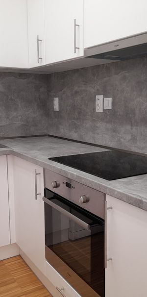 Pronájem bytu 1+kk a garsoniéry 28 m², Nuželická, Sušice - Photo 1