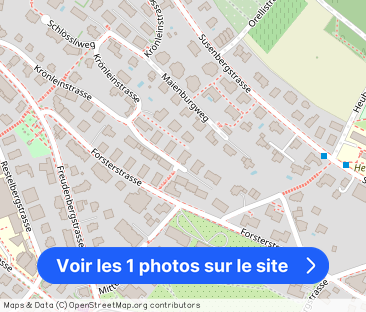 Exclusive apartment with a lot of privacy on the Zürichberg - Photo 1