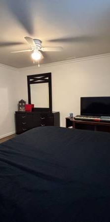 1 Bedroom + Laundry $1245 - Photo 1