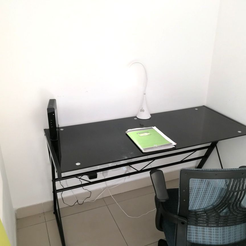 Location Appartement 1 pièce 26m² STE CLOTILDE 97490 - Photo 1