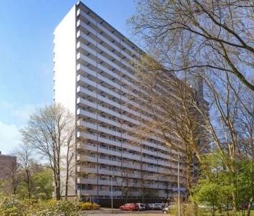 Menno Ter Braaklaan, 2624 Delft, Nederland - Foto 1