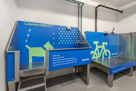 1008 Pandora Avenue, Victoria - Photo 3