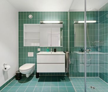 Bâle-Münchenstein - à 7 min. de la gare CFF de Bâle - Photo 6