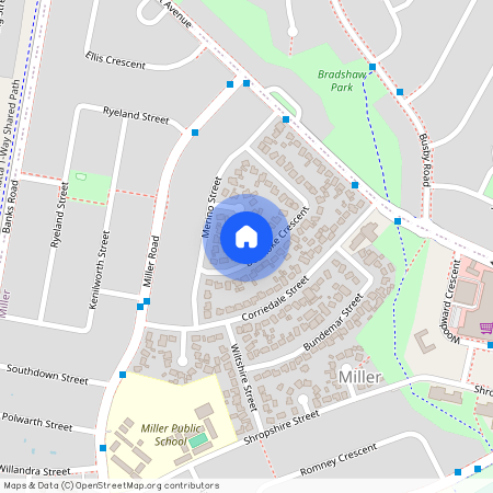 26 Boonoke Crescent, NSW 2168, Miller