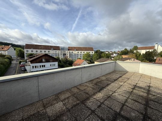 Une grande terrasse et un balcon au calme - Foto 1