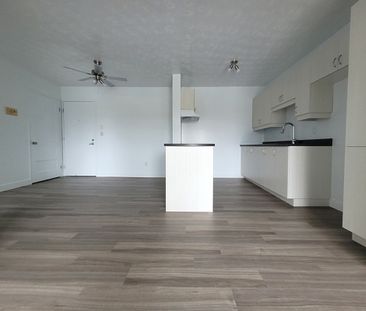 Logement 3 ½ entièrement rénové – Sherbrooke Secteur Université et ... - Photo 4