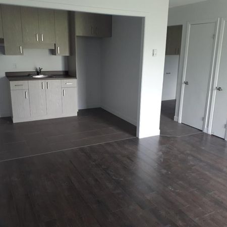 SUPERBE 3 ½ ENTIÈREMENT RÉNOVÉ - LIMOILOU - 995$ CHAUFFÉ,EAU CHAUDE - DISPONIBLE MAINTENANT OU POUR SEPTEMBRE - Photo 4
