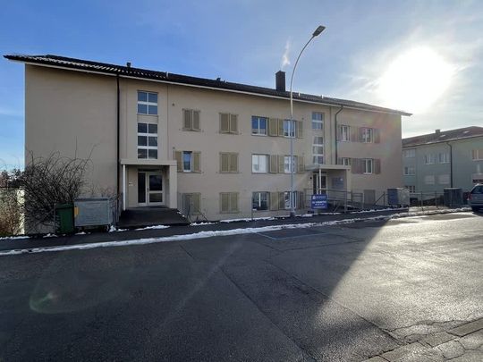 2.5 Zimmer, 45 m², 3. Stock - Foto 1