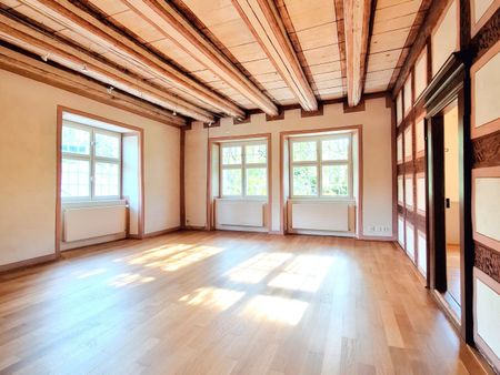 Modern restored parsonage - living and working on 300 m2 area - Photo 5