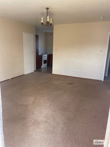 Large 2 bedroom CBD apartment - Photo 2