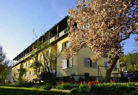 3.5 Zimmer, 64 m², 1. Stock - Foto 3