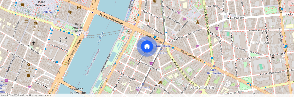 9 RUE PASTEUR, LYON 7EME ARRONDISSEMENT Pasteur