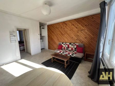 BREST - APPARTEMENT T1BIS - PROCHE FAC DE MEDECINE - Photo 2