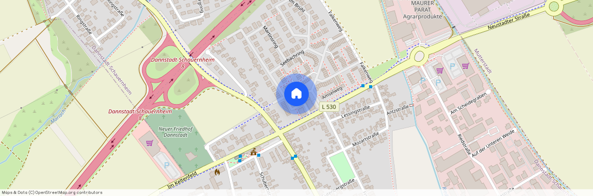 Seebachring 70, 67125 Dannstadt-Schauernheim