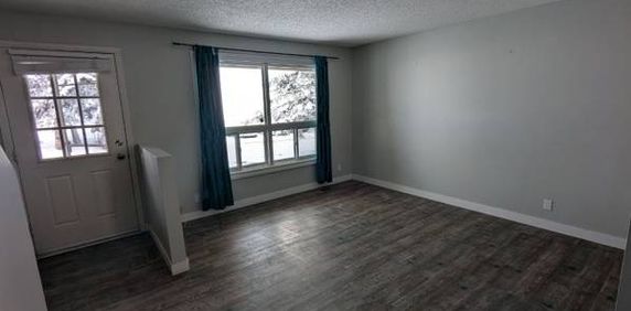 Pet friendly 3 Bedrooms Townhouse in Woodbine - Photo 2