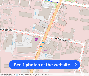 EG-Wohnung mit teilgewerblicher Nutzung - Photo 1